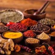 My Image